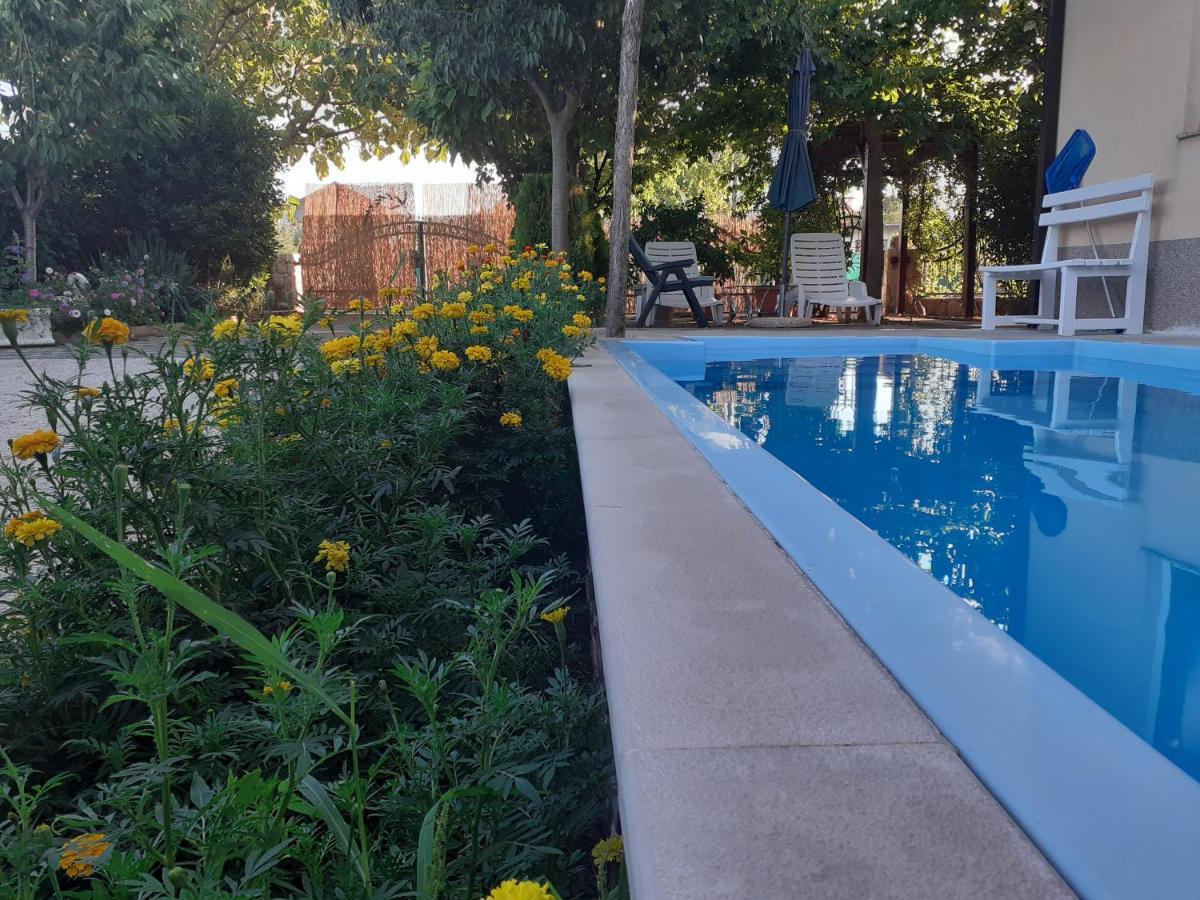 Apartment Vrljika,With Private Pool,Bikes,Garage 伊莫茨基 外观 照片