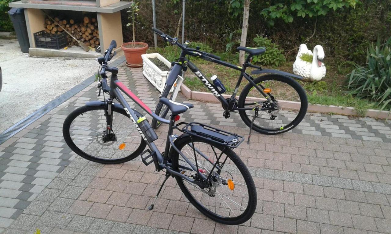 Apartment Vrljika,With Private Pool,Bikes,Garage 伊莫茨基 外观 照片